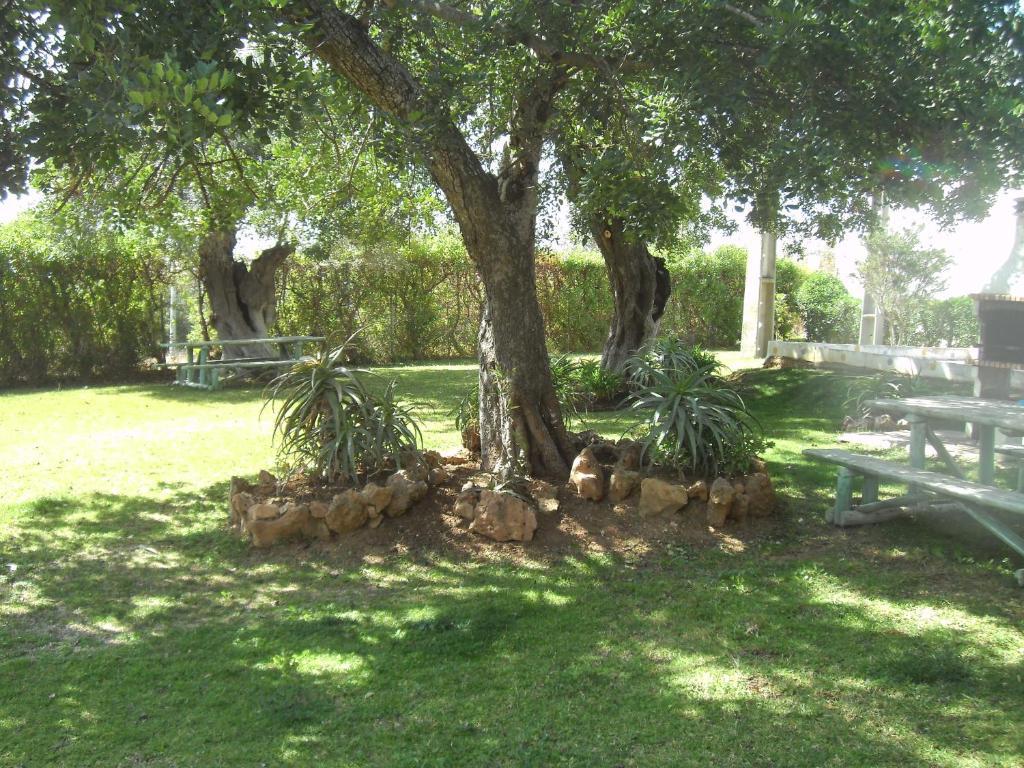 Tavira Garden Appartement Buitenkant foto